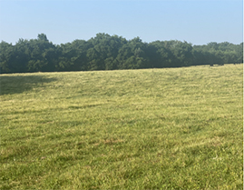 5 Acres for sale Shelbyville